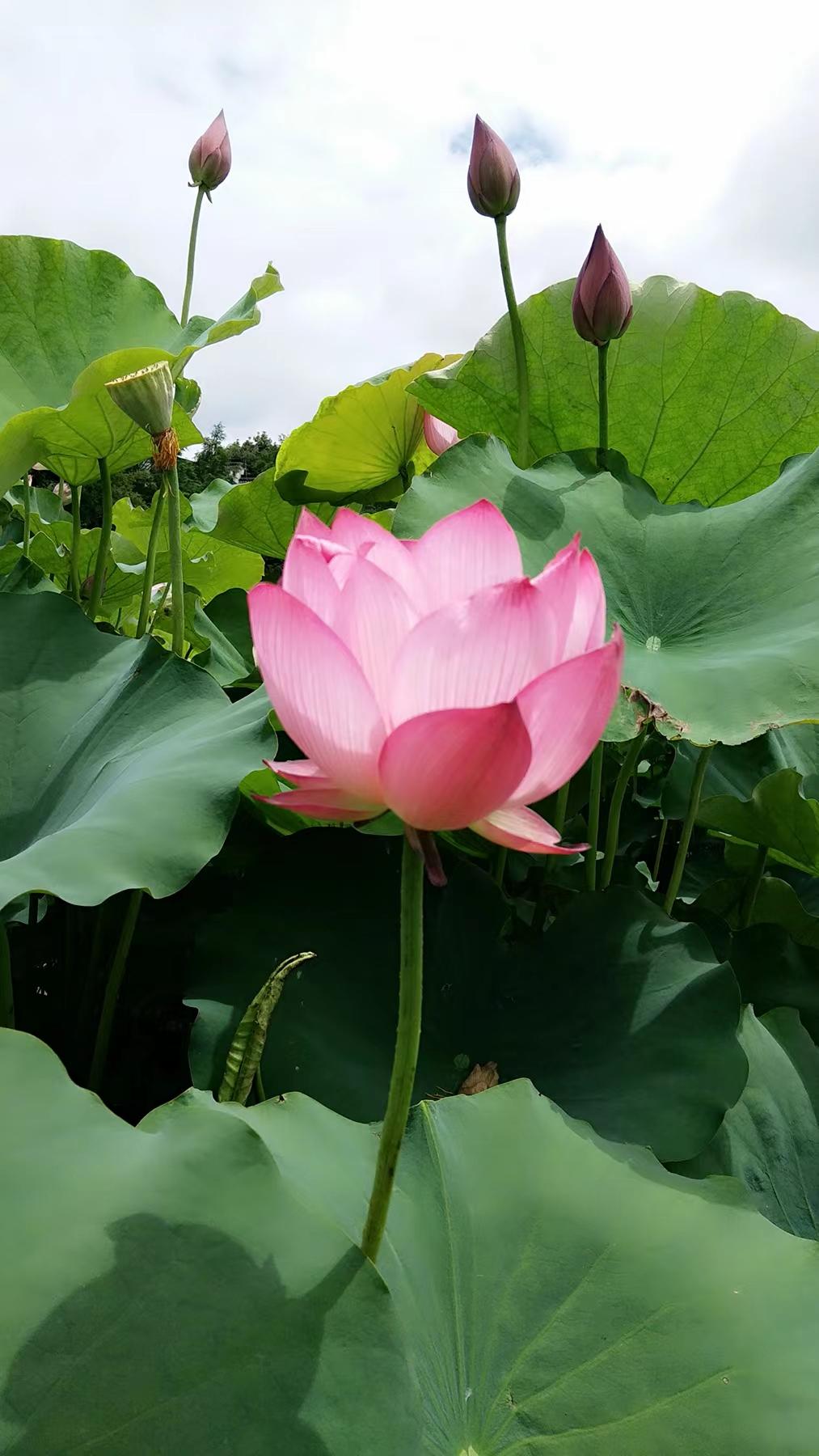http://www.chuangjiugm.com/hsdt/221.html